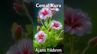 Cemal Kuru İlahileri - Ajans Yıldırım