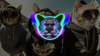 DJ TIKTOK TERBARU 2025 DJ BINTANG 5 TENXI X TOR MONITOR