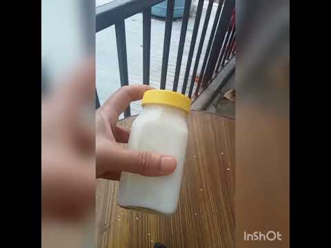 cream kiwi curd