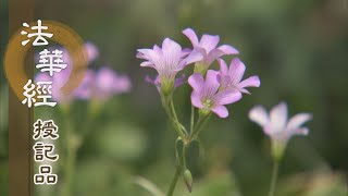 【靜思妙蓮華】法華經授記品 - 修持萬行 福慧具足 - 20210805 第930集