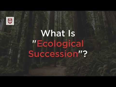Videó: Mikor következik be az ökológiai szukcesszió?