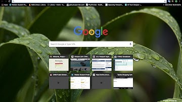 Google Docs Screen Cast