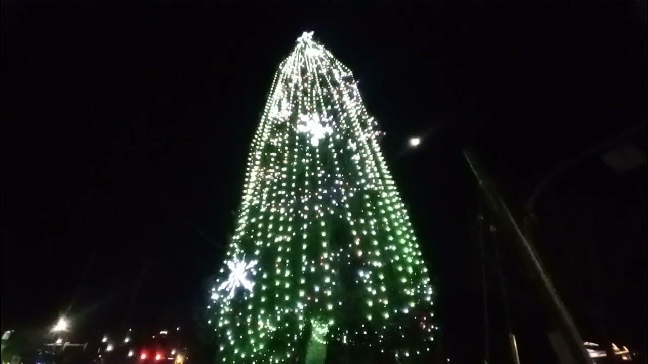 The Abbotsford Christmas Tree🎄 aka "The Christmas Pickle"🥒 lights 💡 up