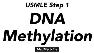 DNA Methylation  Biochemistry  USMLE Step 1
