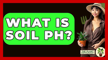 What Is Soil PH? - The Plant Enthusiast