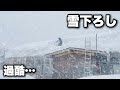 過酷な雪国での暮らし… 今月2度目の雪下ろし|豪雪地帯の古民家で大雪と戦う猫との暮らし【山形県】