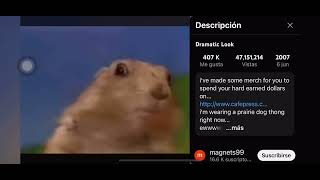 Raw Video Dramatic Chipmunk