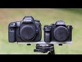 Canon 5Ds vs Sony a7RII - The Definition of Awesomeness