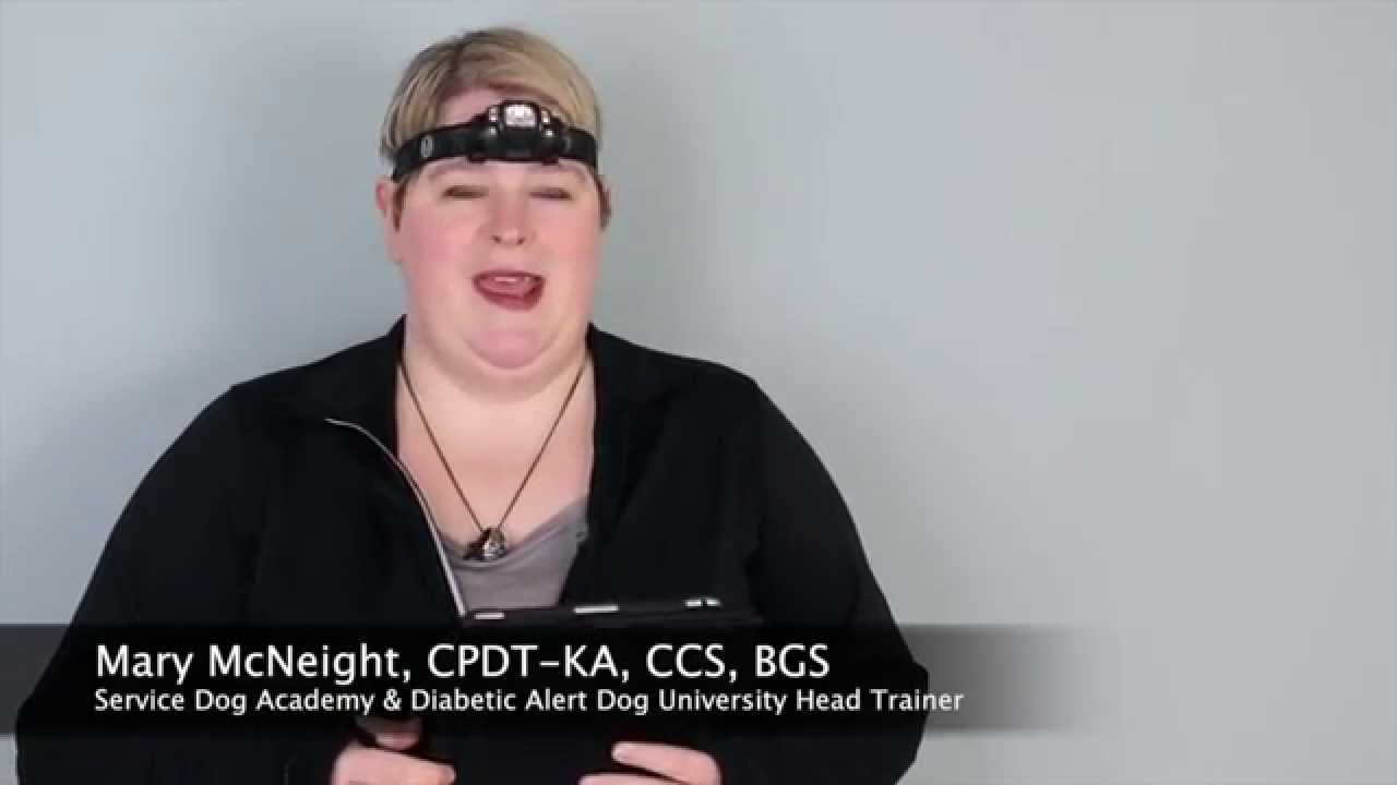 Diabetic Alert Dog Training - College And Universities ...