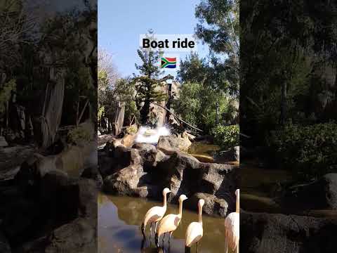 Boat Ride Gold Reef City | #southafrica #boat #ride #shorts #shortvideo