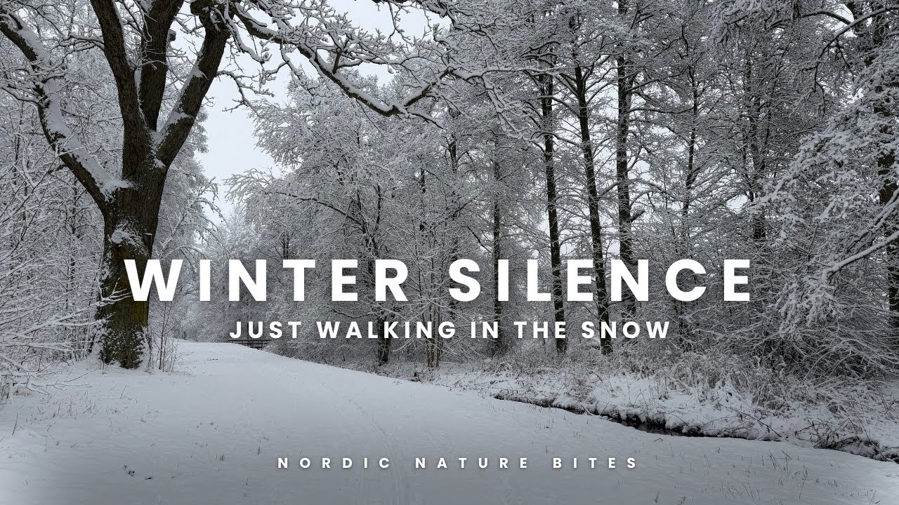 Peaceful Snowy Day Walk ❄️ Winter Silence & Calm Nature | Nordic Walk @NordicNatureBites 
