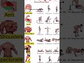 Full body workout at 🏡💪🏻| #exercise #fitness #shorts #fyp #viral #trending #fullbodyworkout #short