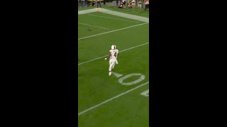 Jerome Ford catches for a 3-yard Touchdown vs. Pittsburgh Steelers