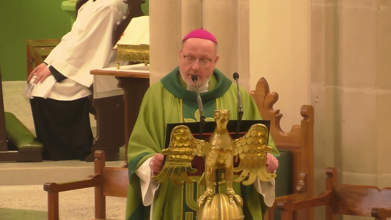The Homily delivered from Mass by Archbishop Anthony Ireland on the 9th of August, 2026