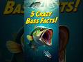 5 Crazy Facts About Largemouth Bass You Didn't Know! 🎣🐟