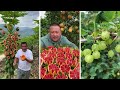 Farm Fresh Ninja Fruit Cutting | Oddly Satisfying Fruit Ninja #14