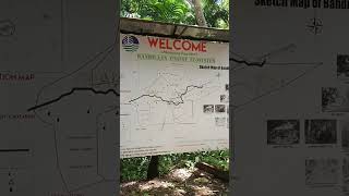 Mount Bandilaan in Siquijor Island Route asmr siquijor philippines travel