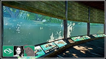 🐘 Creating an Amazing Platypus Habitat with Underwater Viewing in City Zoo | Planet Zoo