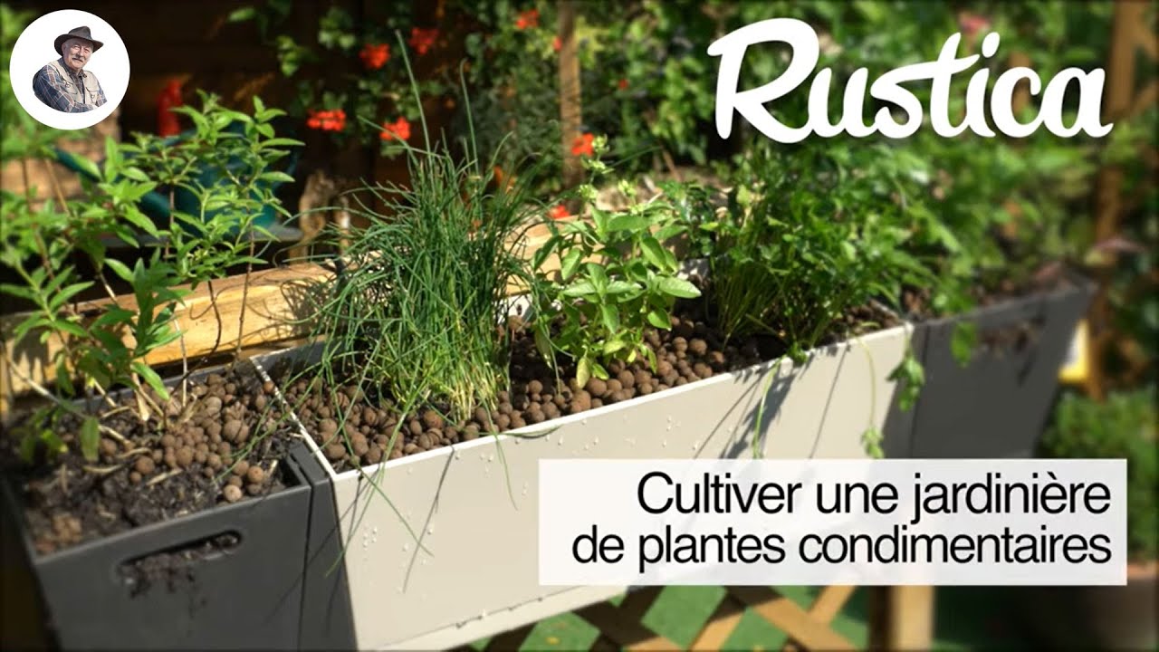 La culture des fines herbes sur votre balcon