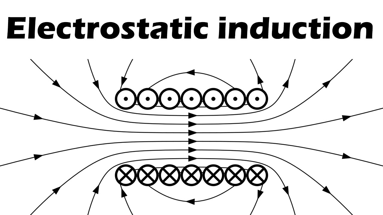 21 Electrostatic induction YouTube