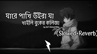 Jare Pakhi Uira Ja Atif Ahmed Niloy Slowed Reverb Bangla Lofi Mix