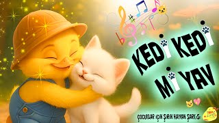Kedi Kedi Miyav🐱 Çocuklar İçin Eğlenceli Hayvan Şarkısı Happy Lumi Tv