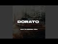 Dorato Ale to Mocna Vixa
