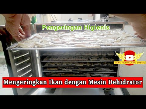 Video: Pengering Ikan (41 Foto): Ciri Peranti Untuk Mengeringkan Ikan Dengan Kipas, Pengering Elektrik Dan Jaring Gantung