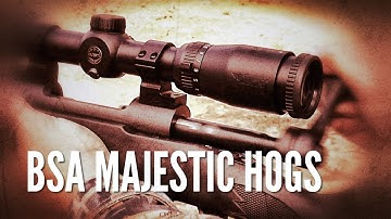 Hog Hunting with BSA Majestic Scope