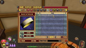 Wizard 101 console bug 1