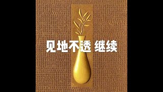 201907 见地不透 继续51475