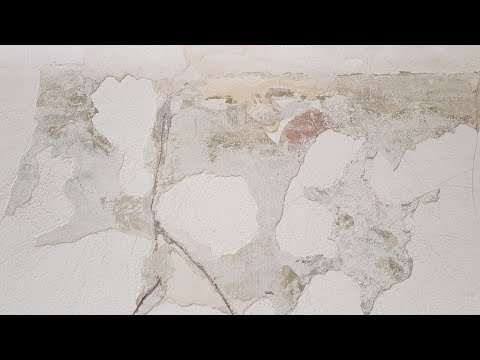 Vidéo: Qu'est-ce qu'un mur humide?