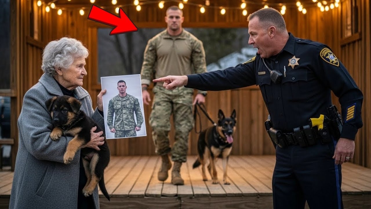 Corrupt Sheriff Humiliated an Elderly Woman in Public — Until Her Son, a Navy SEAL, Returned