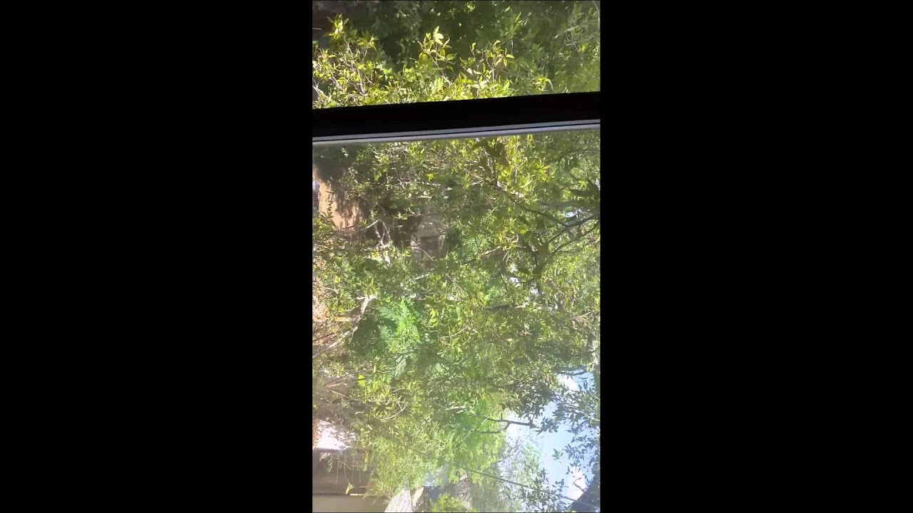 Not smart tree cutting