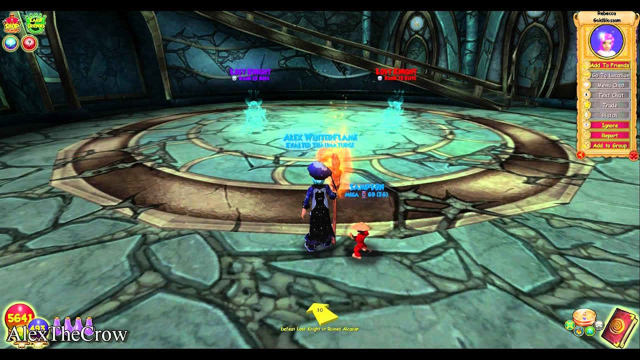 Wizard101: WinterFlame Level 100!