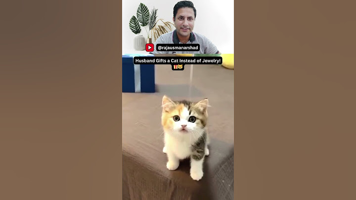 When Your Husband Gifts You a Cat Instead of Jewelry!🎁😸 | Hilarious & Cute Surprise Reaction #shorts