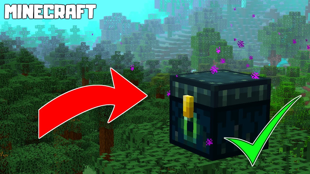 IRL Ender Chest and Shulker Box storage boxes : r/Minecraft