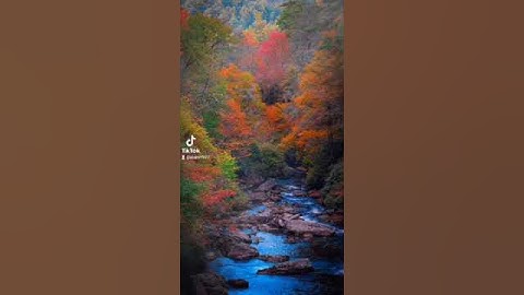 اخر سورة آل عمران وبداية سورة النساء الشيخ  محمد الليثي رحمة الله