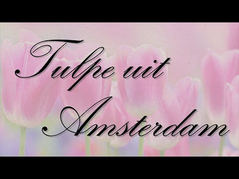 Video: Moet tulpe teruggesny word nadat hulle geblom het?