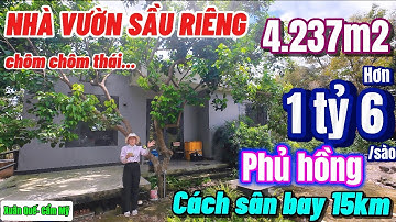 Nhà đất đồng nai,Bán gấp nhà vườn sầu riêng , chôm chôm có suối góc 2 mặt đường bê tông gần sân bay