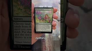 Daily Mtg Pt.4