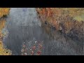 «Ф.И. Тютчев «Есть в осени первоначальной...»