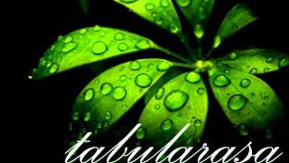 Video thumbnail of "Under the reggae moon (by TABULARASA)"