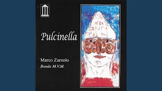Video thumbnail of "Marco Zurzolo - Tarantella segreta"