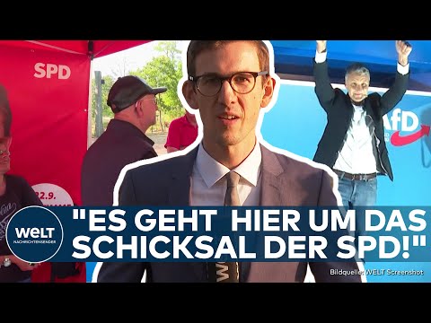 LANDTAGSWAHL BRANDENBURG: AfD