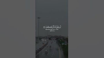 أوليس الذي خلق السماوات و الأرض بقادر من سورة يس بصوت الشيخ أحمد طالب