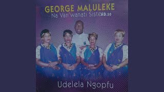 Kubebula vukosi.