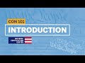 Introduction  constitution 101