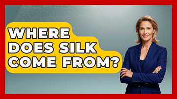 Where Does Silk Come From? - The Sharp Dressed Gent