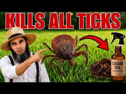 Kill Every TICK In Your Yard... SAFE For Pets & Kids!